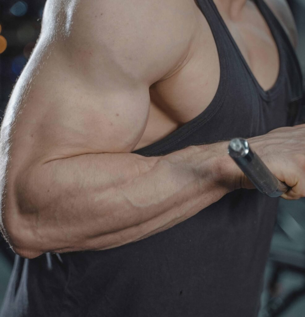 a muscular man performing a barbell curl, showcasing arm muscle definition and the impact of training for hypertrophy