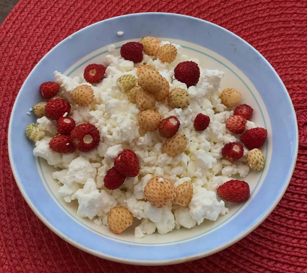 Cottage Cheese and red Berries, a high protein breakfast for weight loss